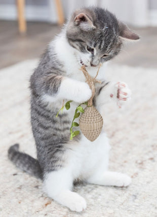 Trixie Katzenspielzeug Zapfen aus Pappe