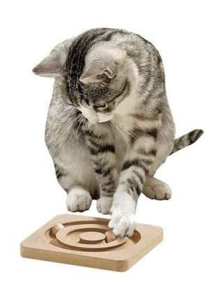 Karlie Kitty Brain Train Roundabout