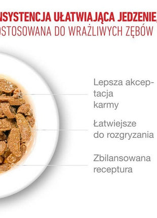 Royal Canin Ageing +11 karma mokra dla kotów dojrzałych w sosie saszetka 85g
