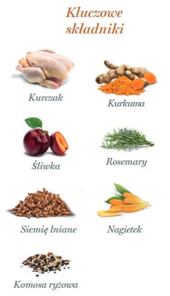 Amanova Dog Adult Exquisite Chicken - kurczak saszetka 100g [P03]