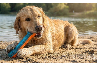 Zolux Zabawka gryzak kość Tao 17cm