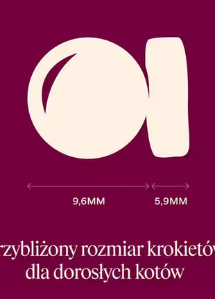 Carnilove Cat Active Salmon & Turkey Large - łosoś i indyk 6kg