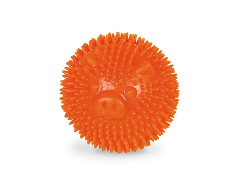 Nobby TPR Noppen Ball Pig - 6,5cm