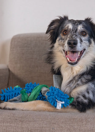 Beeztees Hundespielzeug Nuno
