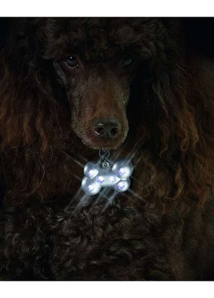 Karlie LED-Sicherheitsblinker Blinki Bone