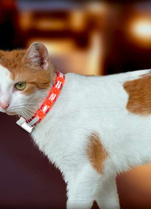Karlie LED Katzenhalsband