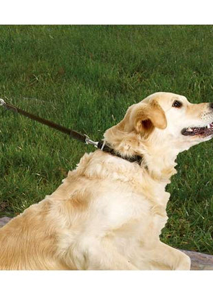 Karlie Protector Plus Hundebremse