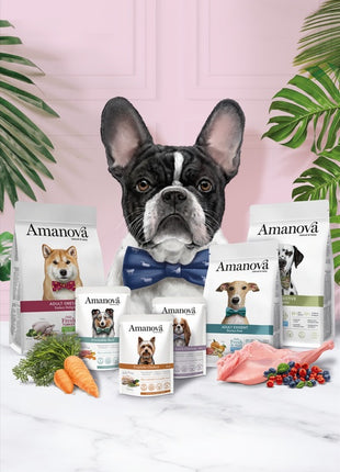 Amanova Dog Adult Luscious Lamb & Pork - jagnięcina i wieprzowina saszetka 300g [P05]