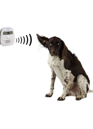 Hundeberuhiger Ricko HB 100