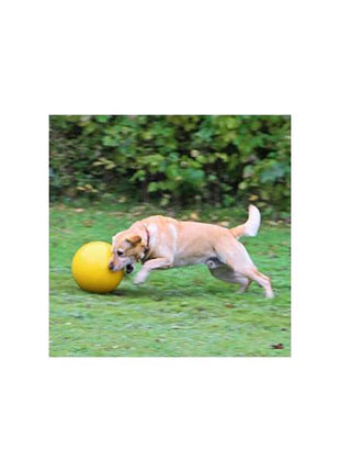 Kerbl Hundespielball Ø 30cm