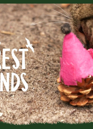 Forest Friends Mouse Roze