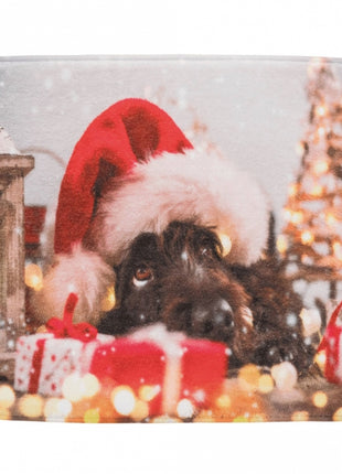 Trixie Xmas Liegematte für Hunde