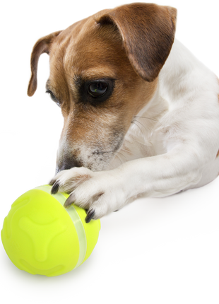 AFP Interactives - Lucky Treat with Rolling Ball