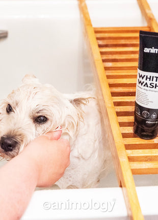 Animology White Wash Dog Shampoo 250 ml