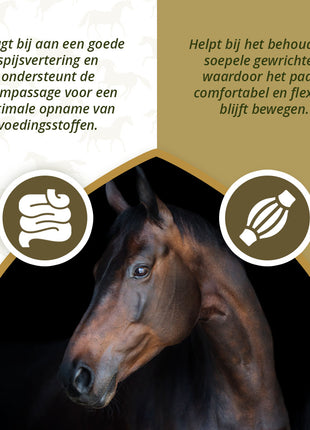 Excellent Horse Omega Boost 1 l
