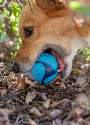 Chuckit! Sniff Fetch Ball Bacon & Peanut Butter M 4-pack