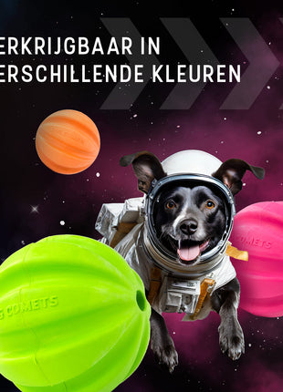 Dog Comets Halley Met Touw Roze