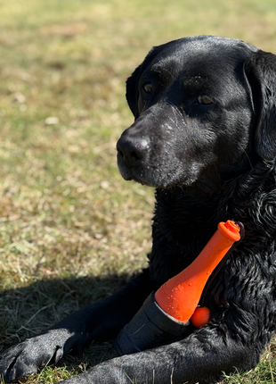 Dog Comets Bobber Roze