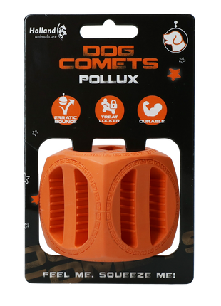 Dog Comets Pollux Oranje