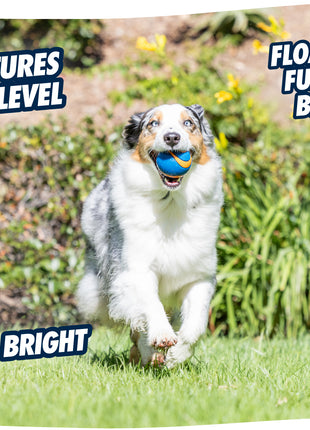 Chuckit! Ultra Squeaker Ball S (2-pack)