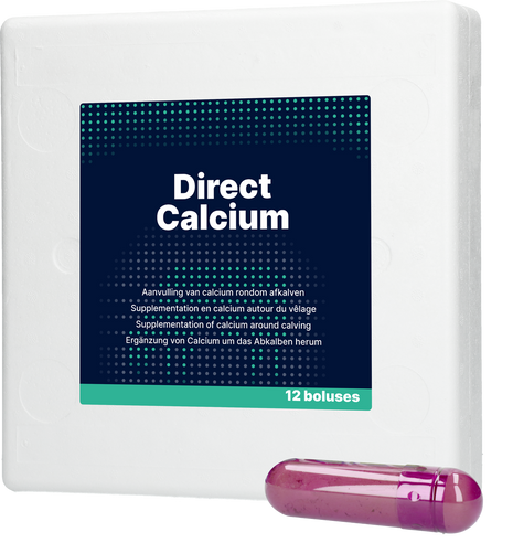 Direct Calcium 12 x 94 g