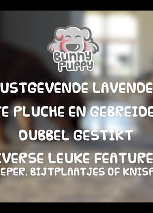 Bunny Puppy Crunchy Knot