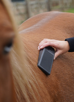 Package Deal Excellent Grooming Brush