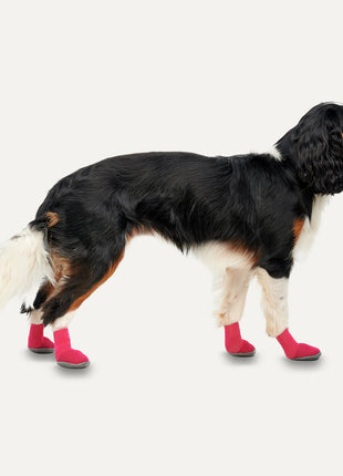 Goo-eez Dog Boots Lites 4 Per Pack Rood/Zwart