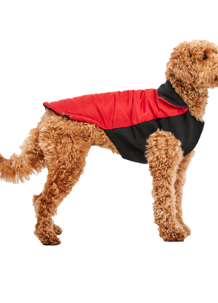 Goo-eez Mock Neck Signature Wrap Jacket Rood/Zwart