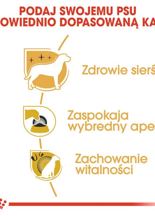 Royal Canin Yorkshire Terrier Adult karma sucha dla psów dorosłych rasy yorkshire terrier 1,5kg