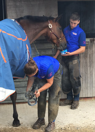 Horslyx Mini Knoflook