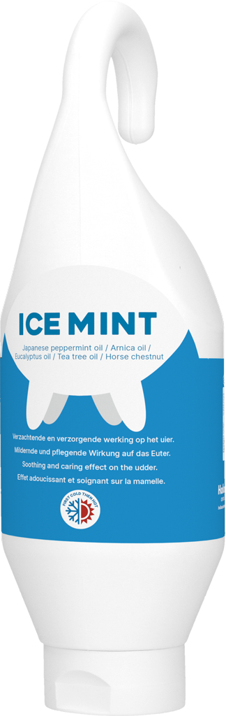 Ice Mint Gel Sta en hangtube