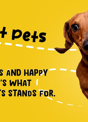Excellent Pets Skin & Coat Soft Chews 120 Treats