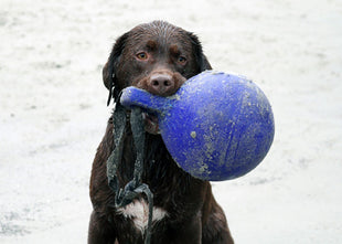 Jolly Tug-n-Toss Rood