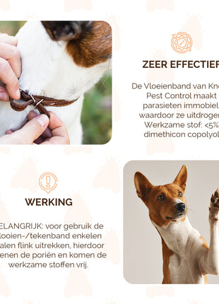 Knock Pest Vlooien/Tekenband Hond DE/UK