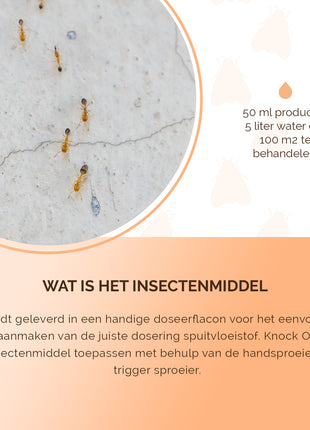 Knock Pest Insectenmiddel