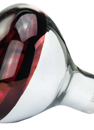 Hard Glas Lamp 250 W - Rood