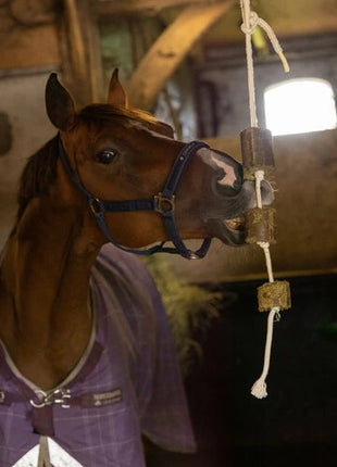 Lax Luzerne aan Speeltouw voor Paarden
