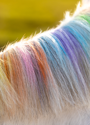Lucky Horse Unicorn Regenboog Kleurkrijt