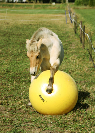 Maximus Power Play Ball