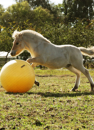 Maximus Power Play Ball