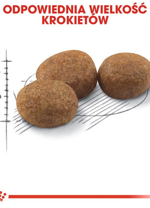 Royal Canin Sterilised karma sucha dla kotów dorosłych, sterylizowanych 10kg