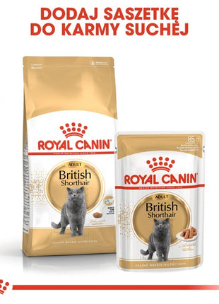 Royal Canin British Shorthair Adult karma sucha dla kotów dorosłych rasy brytyjski krótkowłosy 4kg