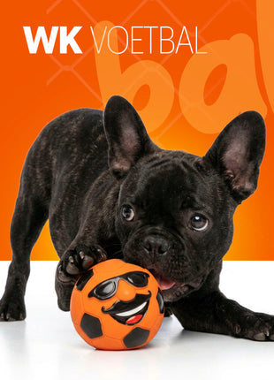 Oranje Mr. Dutch