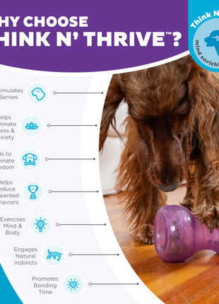 Outward Hound Double Snoop Paars