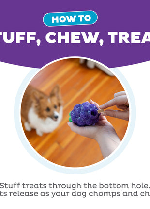 Outward Hound Dental Grapes