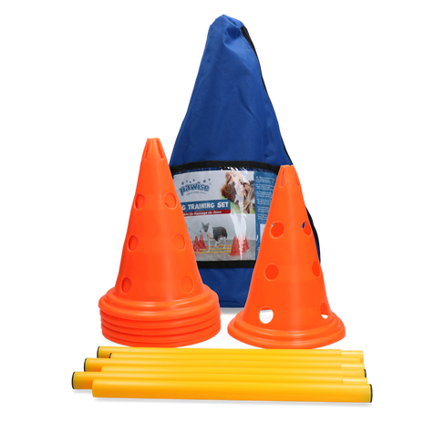 Pawise Dog Agility Training Set