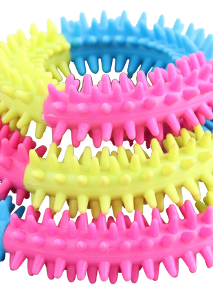 Pawise Rainbow World Ring