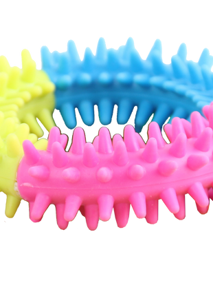 Pawise Rainbow World Ring