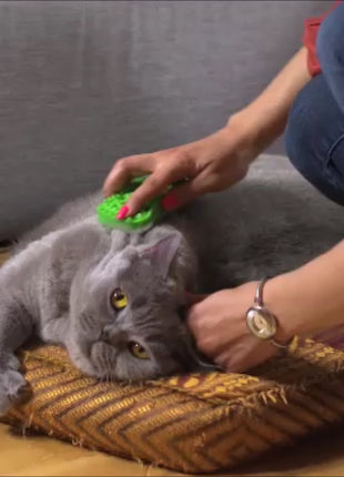 Pet+Me Cat Hair Brush Lang haar Groen